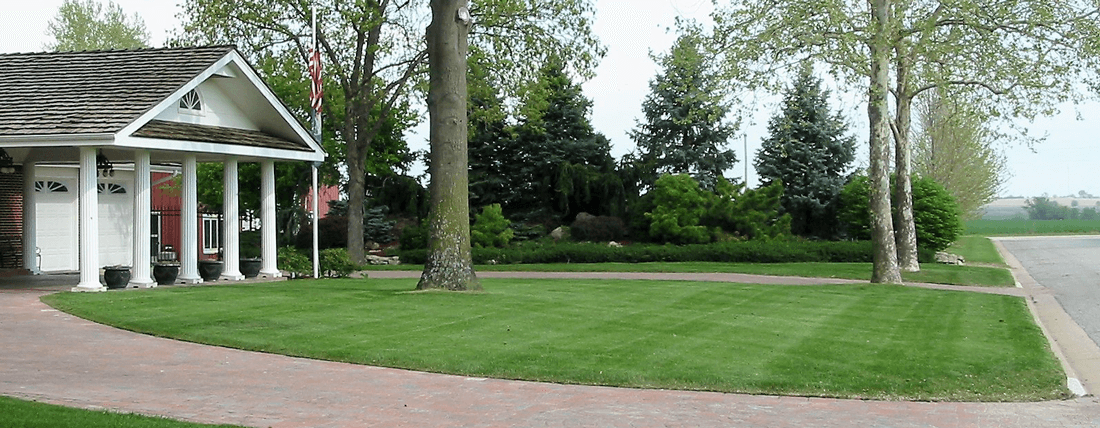Green lawn in front of home