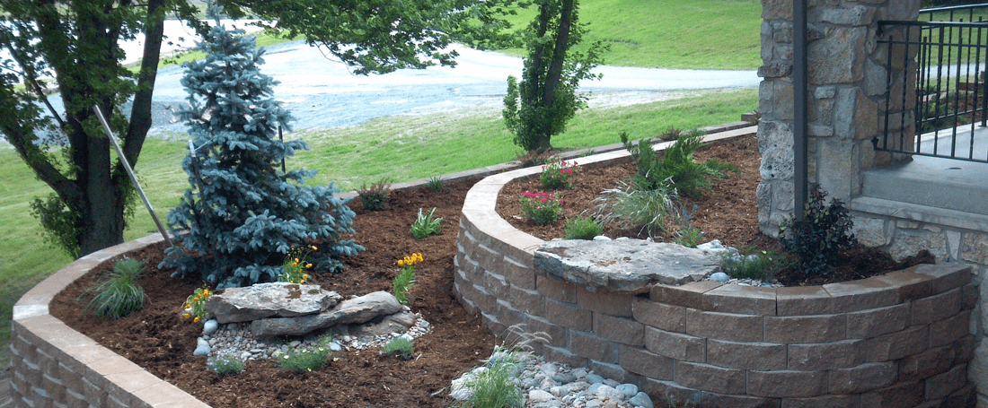 Small trees and shrubs planted in flower bed in front of lawn with flowers, mulch, and stone accents
